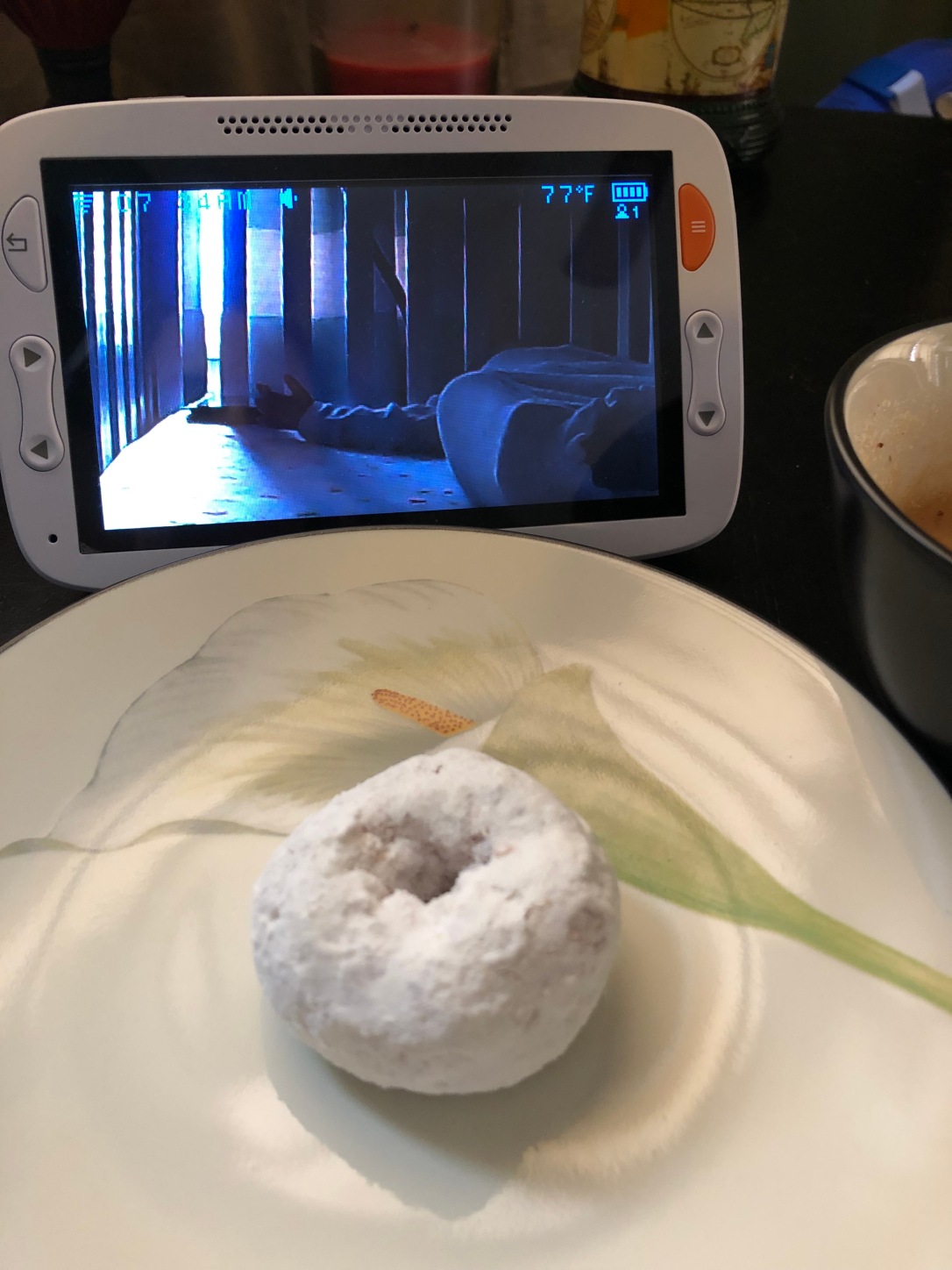 tatsykake powdered sugar mini donut